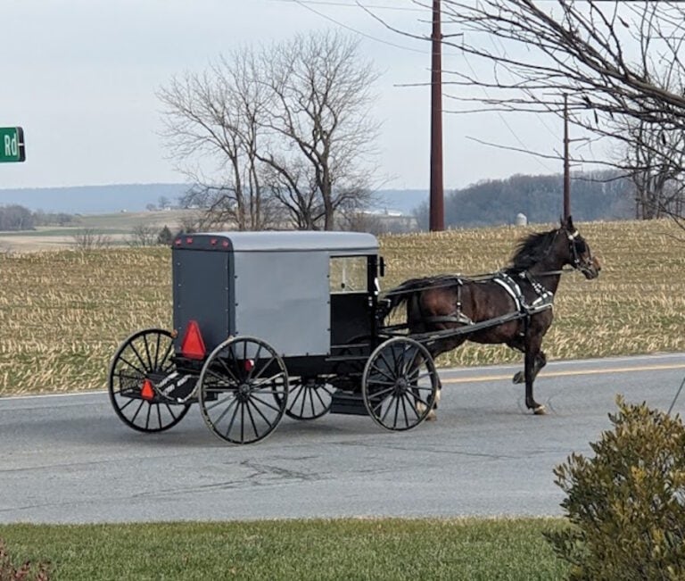 DUI Driver Hits Amish Buggy; It Tips Over & Drags Down The Road