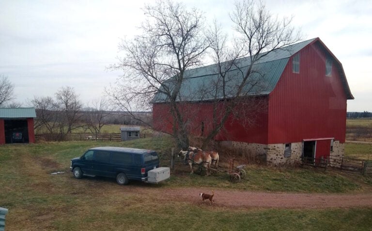 Echoes from Amish Country: My First Trip Home