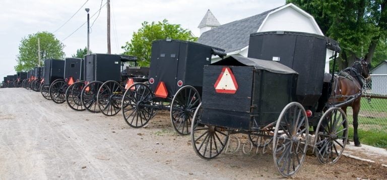 Low Amish Cancer Rates