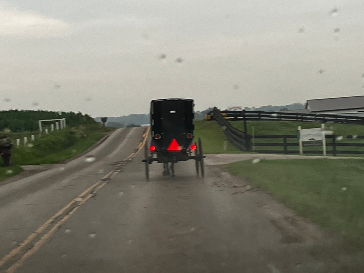 Rear view of a black horse-drawn buggy on a wet rural road; red triangular slow-vehicle sign visible at rear.