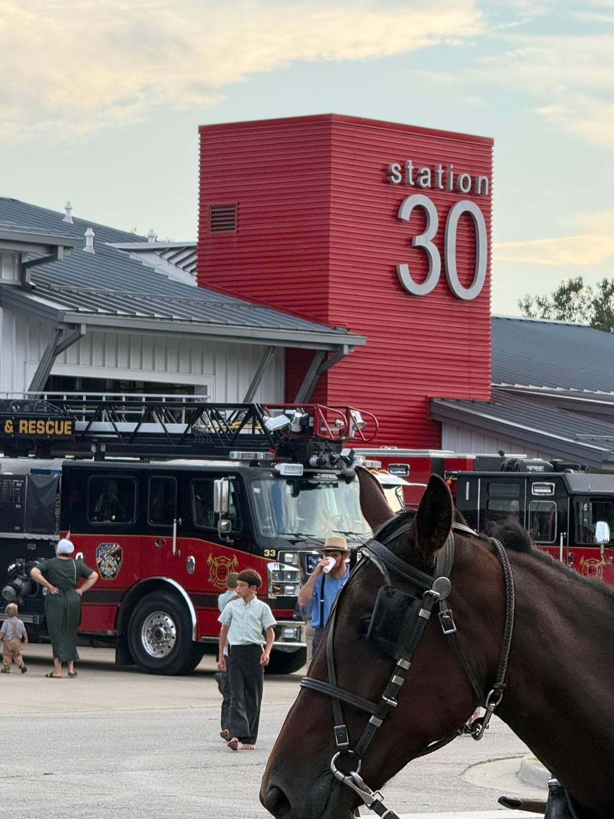 Buggy horse in front of the Station 30 tower in Topeka, Indiana