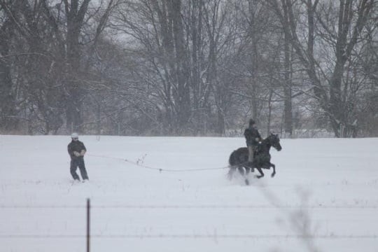 Horse-and-Buggy Snowboarding in Amish Indiana