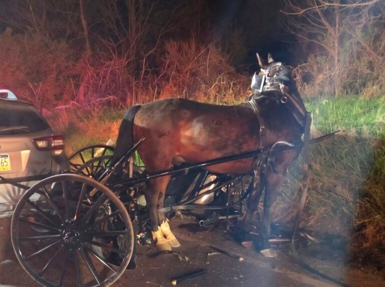 Young Amish Woman “Critically Injured”, Airlifted After Car Rear-Ends Buggy — But Horse Left Unharmed