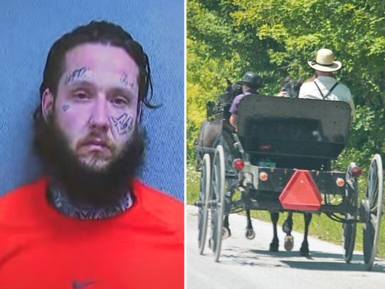 Amish Man & Young Son Assaulted, Tasered & Robbed In Brutal Home Invasion (Ohio)