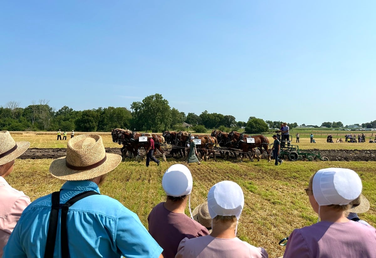 Twelve-horse hitch plowing at Horse Progress Days 2026 in Arthur, Illinois Amish spectators watching a twelve-horse hitch plow the field at Horse Progress Days 2026 in Arthur, Illinois