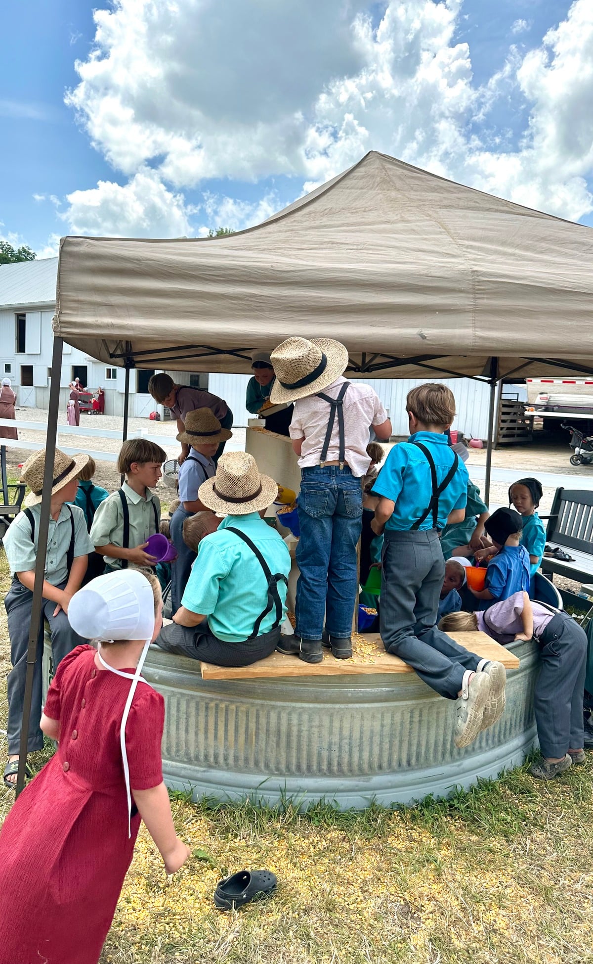 Corn kernel sandbox – Horse Progress Days 2026 Amish children playing in a corn kernel sandbox at Horse Progress Days 2026