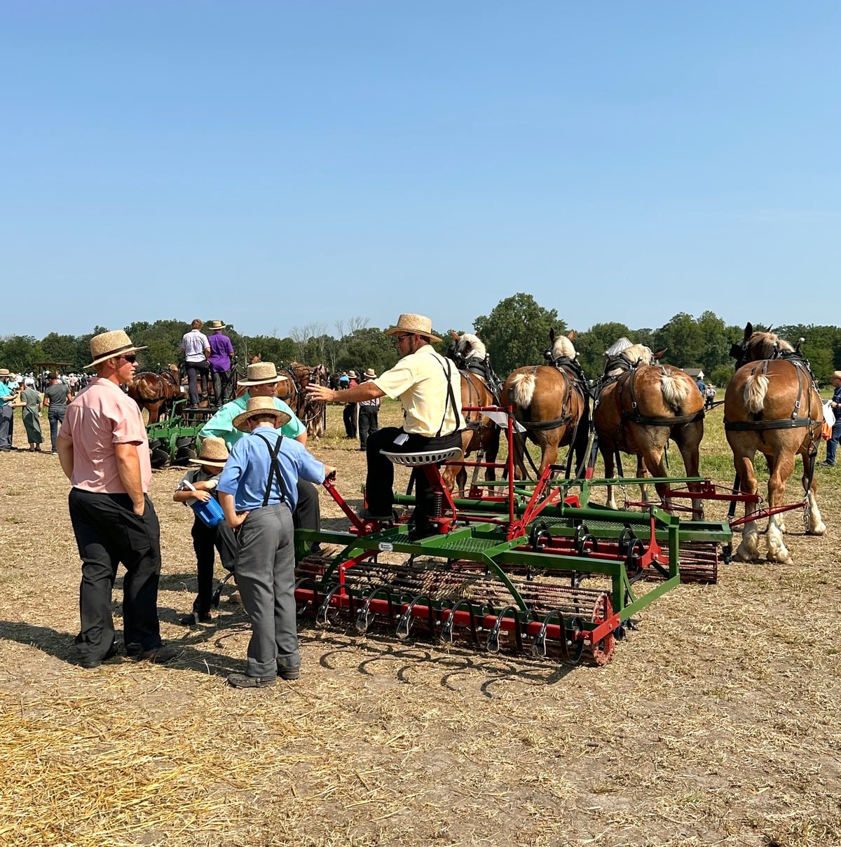 Equipment lineup – Horse Progress Days 2026 Horse-drawn farming equipment lineup at Horse Progress Days 2026 in Arthur, Illinois
