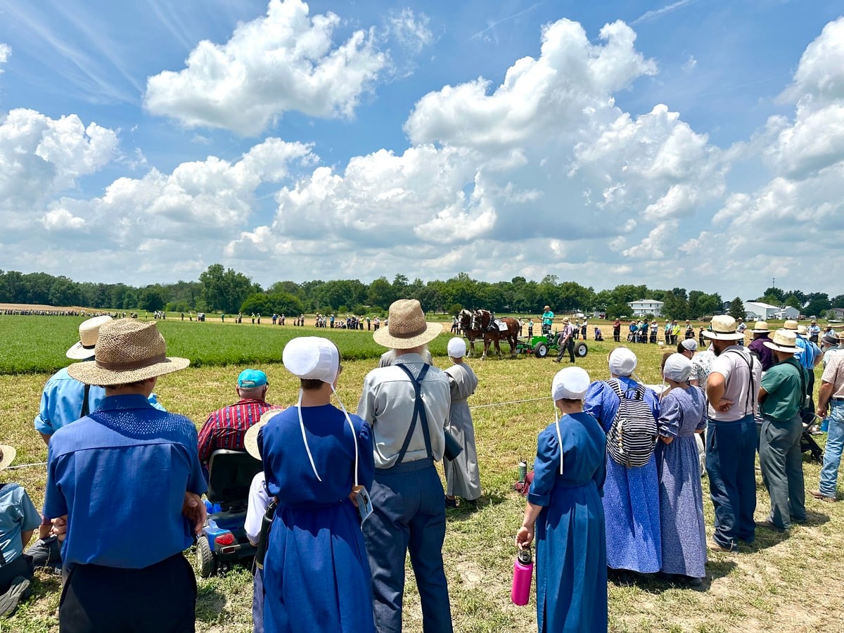 Field demo – Horse Progress Days 2026 Amish spectators watching a horse-drawn plowing demonstration at Horse Progress Days 2026