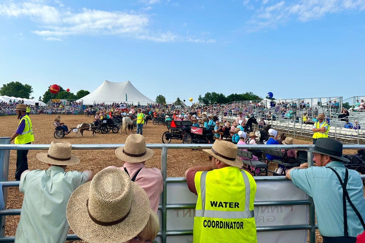 Pony Parade in the main arena – Horse Progress Days 2026 Amish children driving pony carts in the main arena at Horse Progress Days 2026