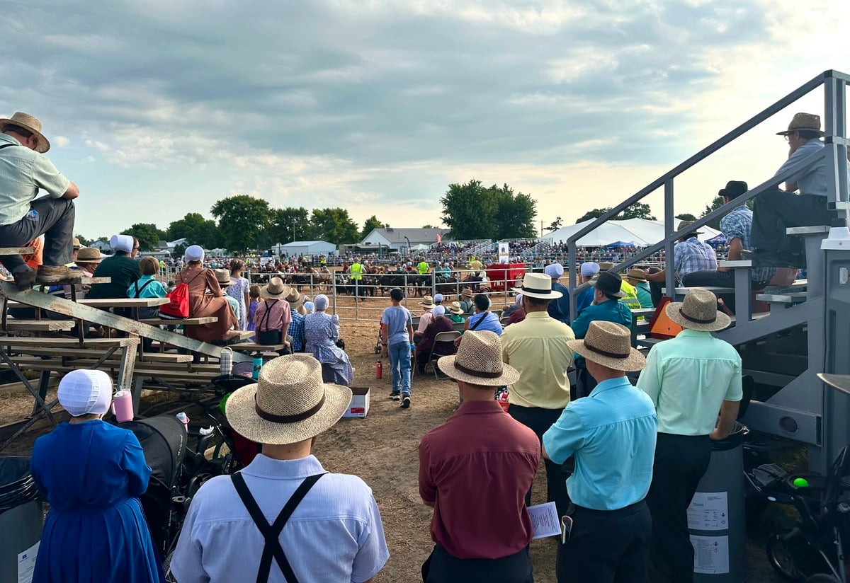Pony Parade bleachers – Horse Progress Days 2026 Amish spectators in bleachers at Horse Progress Days 2026 Pony Parade