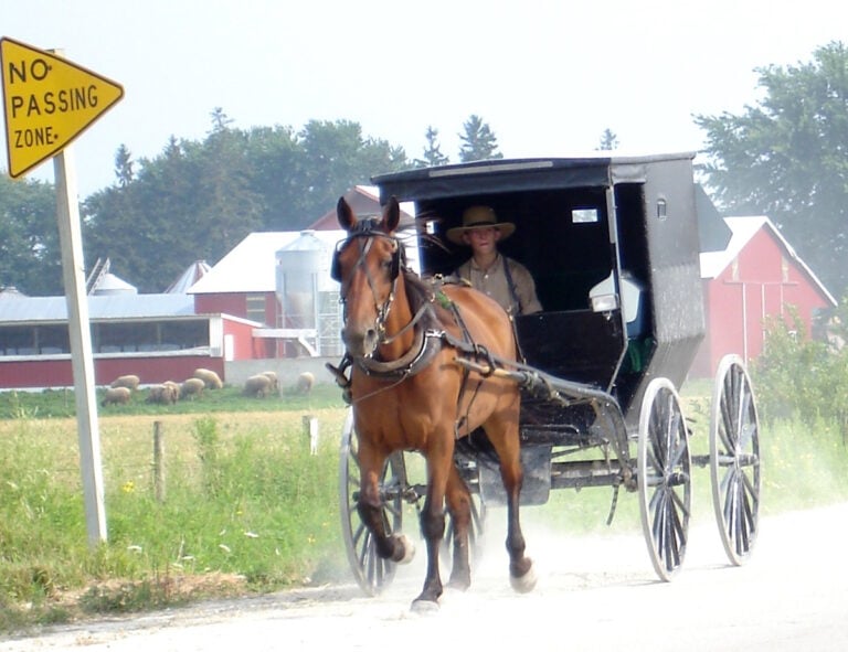 Iowa Is America’s #9 Amish State — Here Are Its 10 Biggest Communities