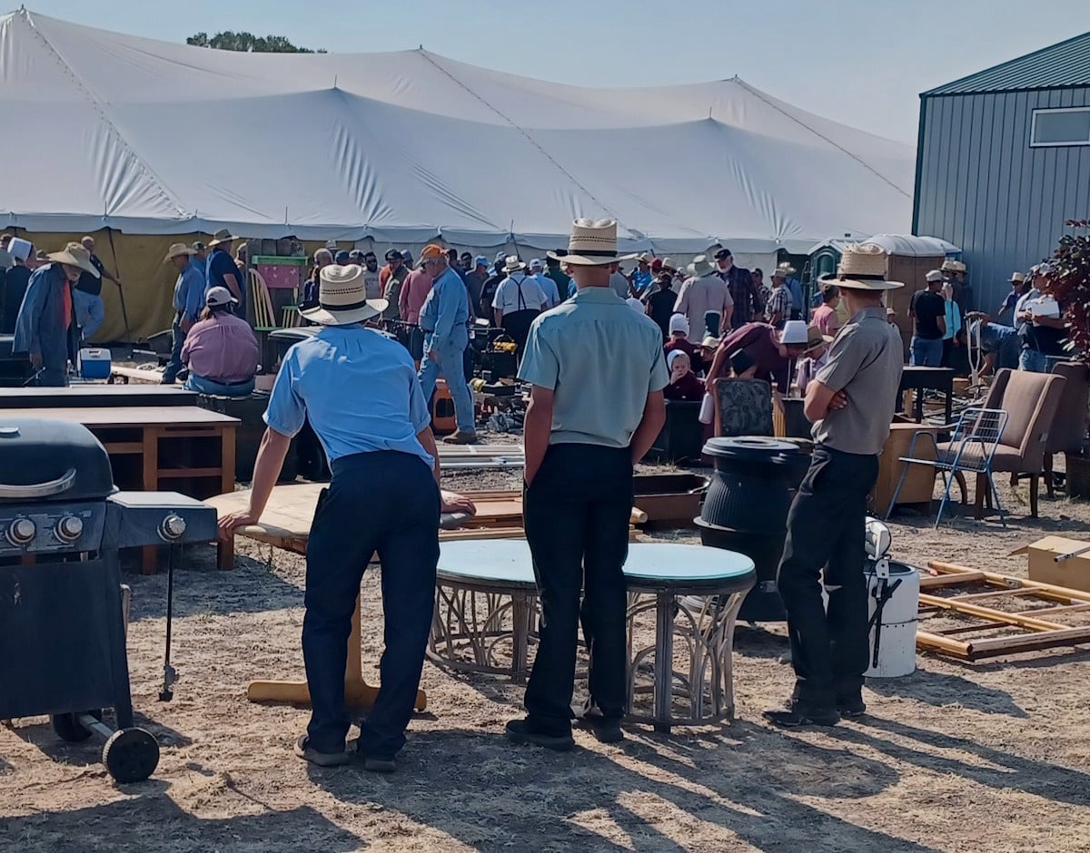 Young Amish men watching the sale at the La Jara, Colorado auction