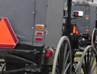 Lanc Amish Carriages
