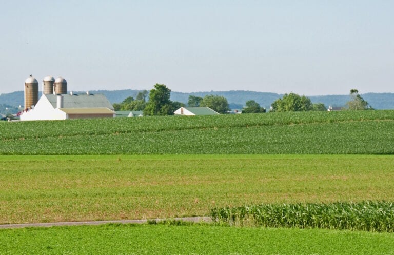“Ultra-Rare” Genetic Disorder Discovered To Be 4,500 Times More Common Among Amish