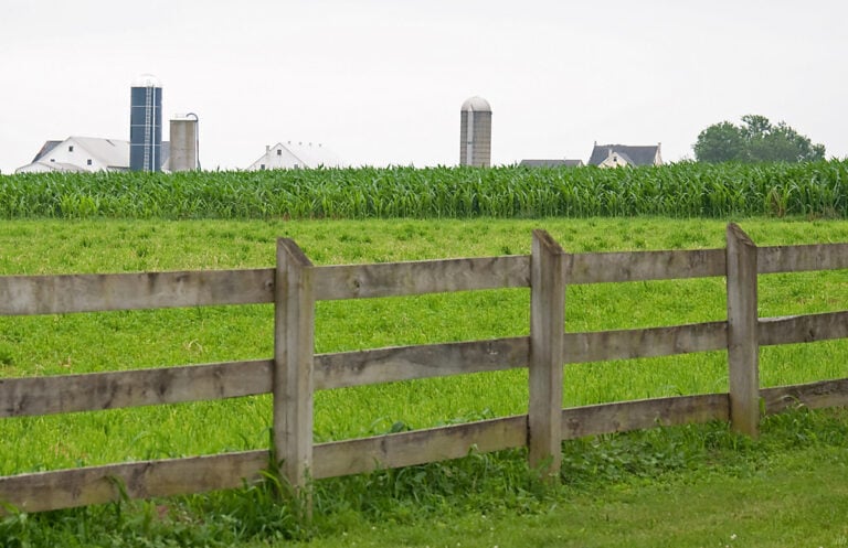 Coroner: 6-Week-Old Amish Girl Died From Measles. First Confirmed US Measles Death Of 2026