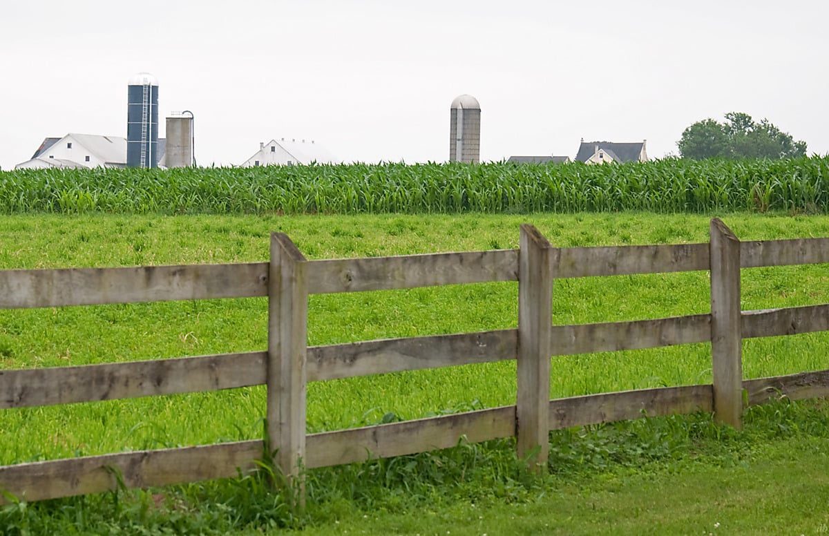 Lancaster County Amish Farm Wooden fence in front of a cornfield with an Amish farmstead and silos on the horizon