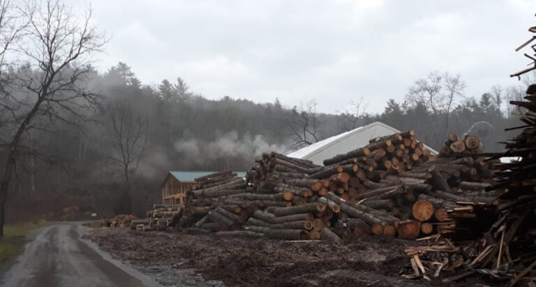 The Most Dangerous Job in America Claims the Life of a 29-Year-Old Kentucky Amish Man