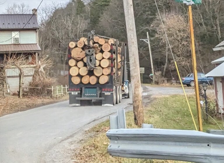 Amish Man Killed When Buggy Turns Into Logging Truck’s Path