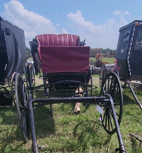 An open carriage with a maroon tufted seat parked among Amish buggies