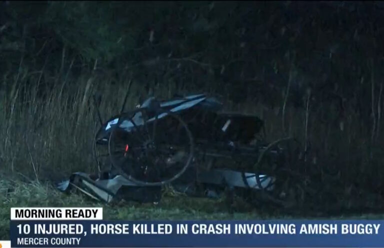 Car Hits Amish Buggy “Head-On”; 10 Injured, Horse Put Down (UPDATED ...