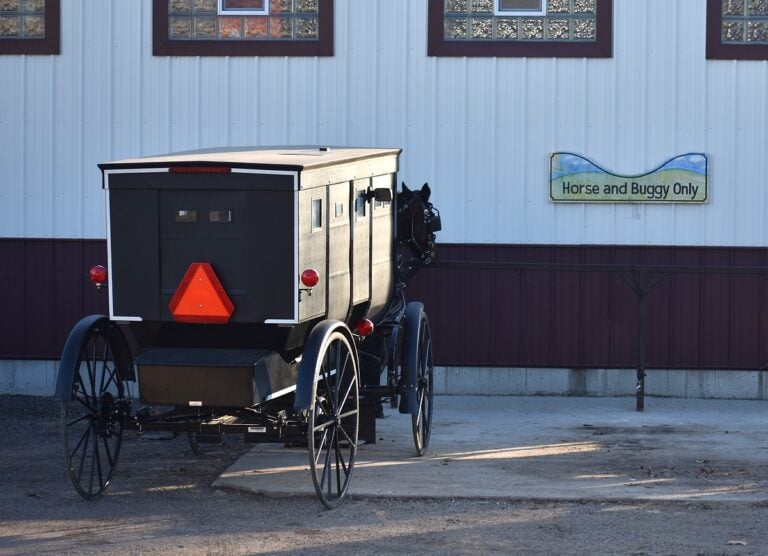 Michigan Driver Strikes Amish Buggy, Ejecting Four — Including Pregnant Woman; Drug Use Suspected