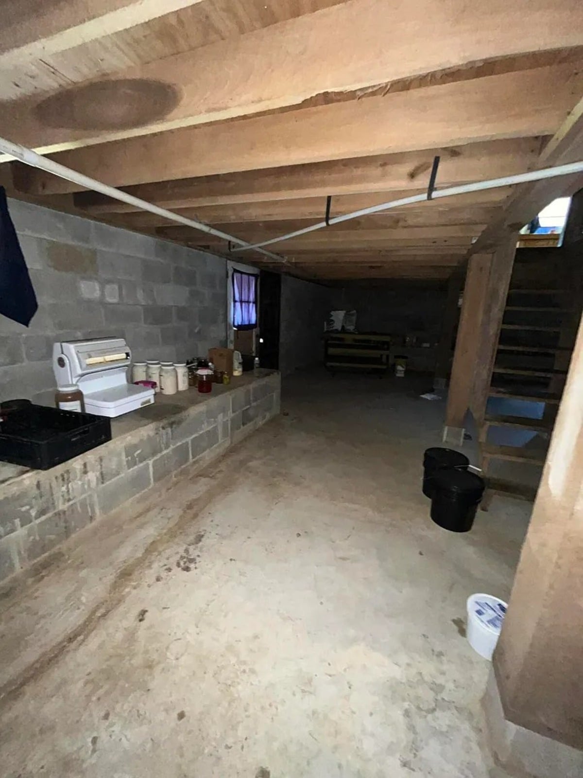 Unfinished cinder block basement with canning jars, hand-crank appliance, and wooden stairs, Amish home in Mississippi
