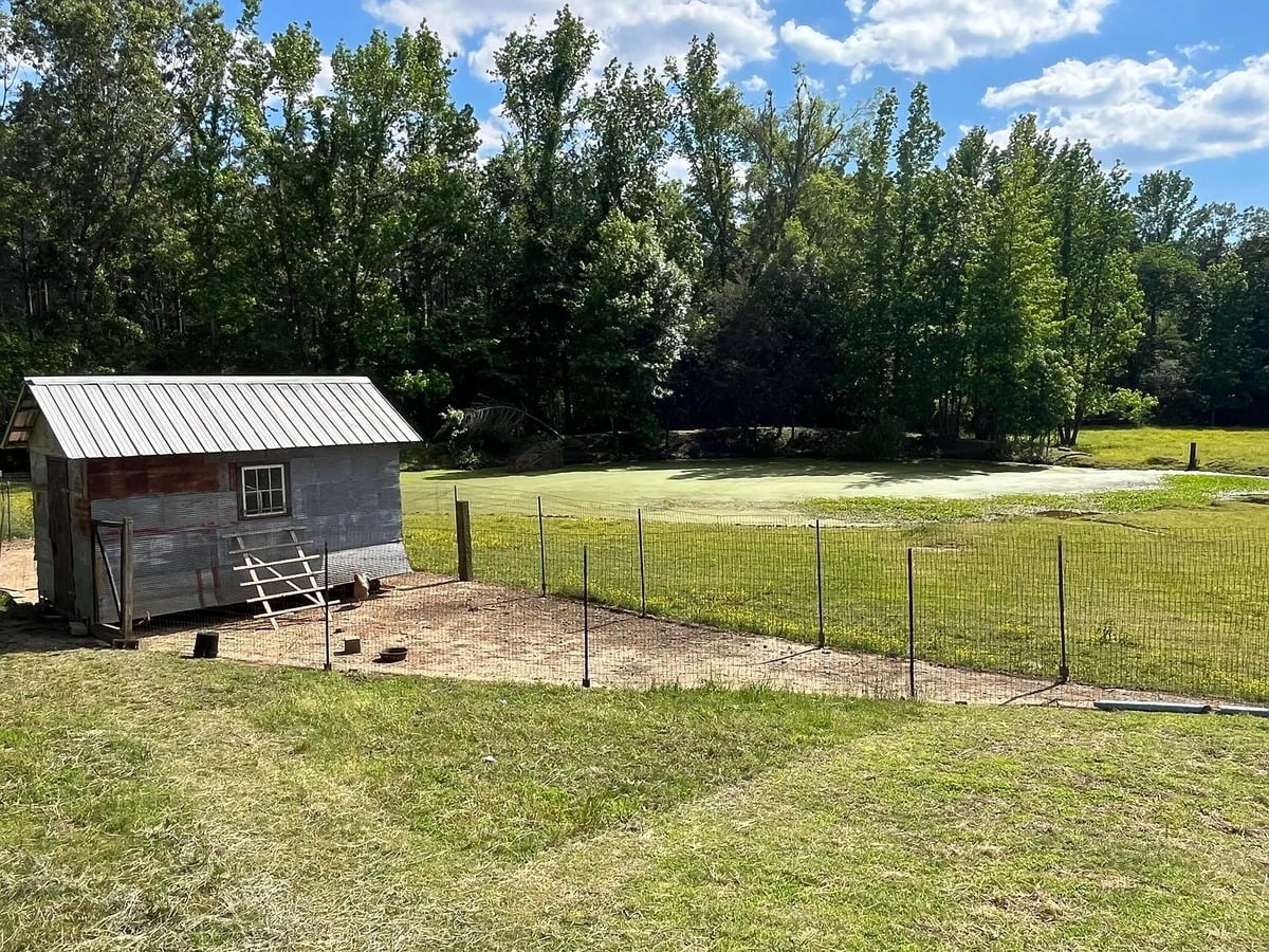 Small Amish chicken house with fenced yard and pond behind it, surrounded by trees, Randolph Mississippi