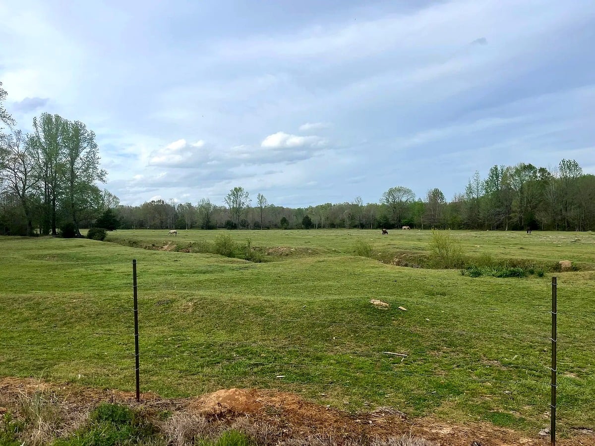 Fenced pasture with horses grazing at an Amish farm in Randolph, Mississippi