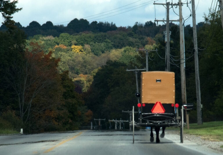 DUI Charges For Amish Buggy Driver After Crash With Car