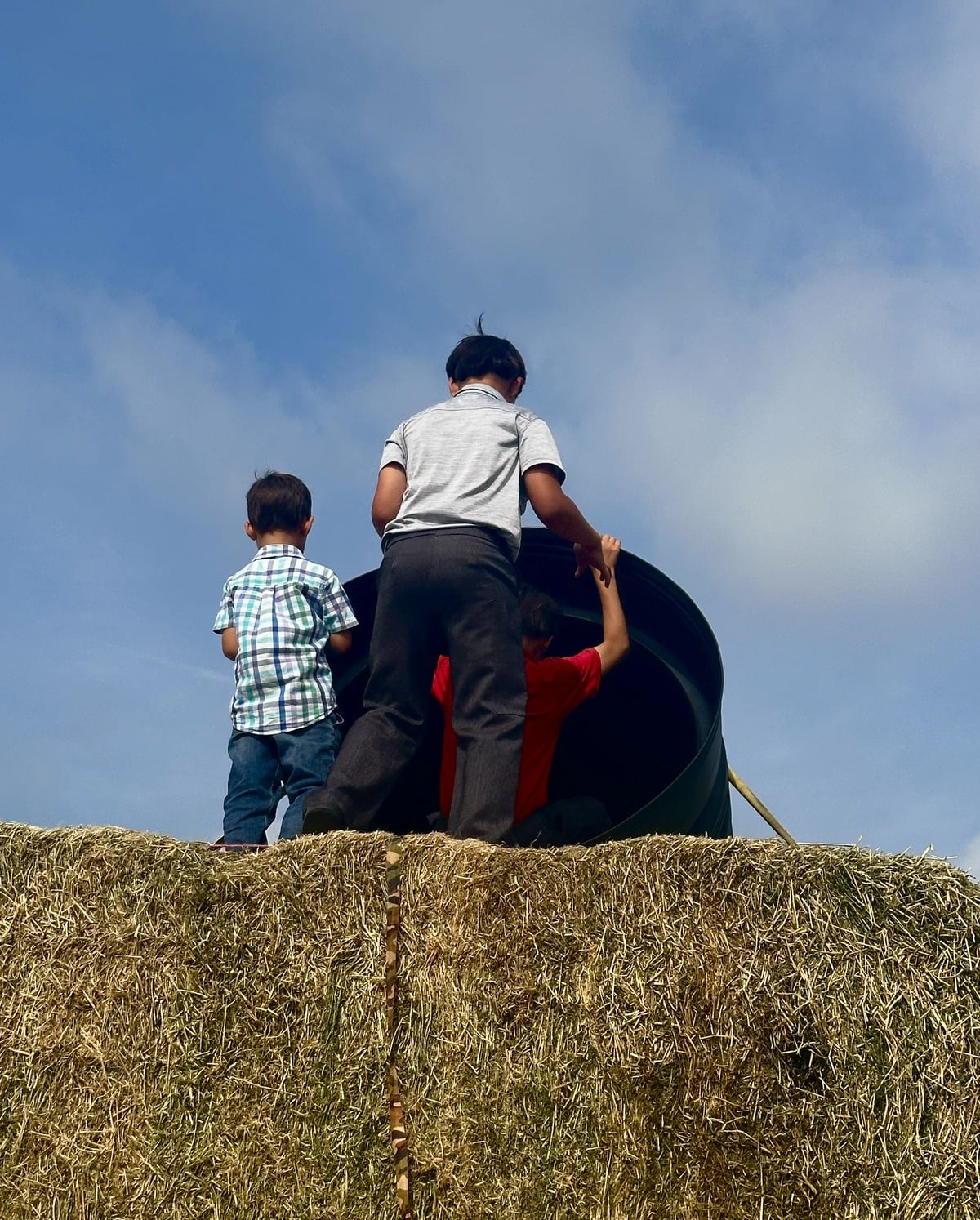 Amish boys climbing onto the hay bale slide at Family Farm Field Days