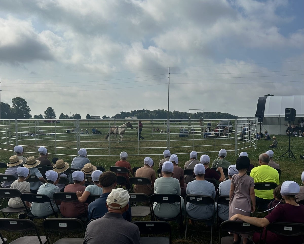 A horse training demonstration in the round pen at Family Farm Field Days
