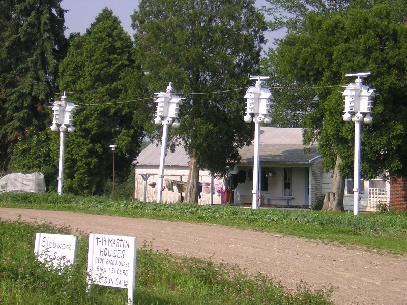Amish Martin Houses New Wilmington Pennsylvania