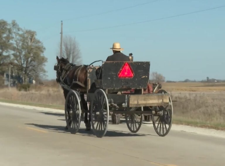 Man Who Fled Deadly Amish Buggy Crash Pleads Guilty — Manslaughter Charge Dropped