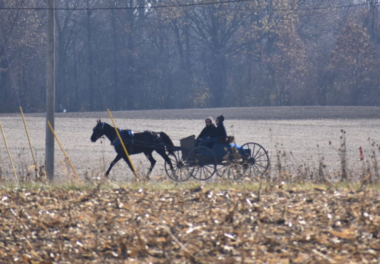2 Amish Women Airlifted In Critical Condition After SUV Rear-Ends Their Buggy (Michigan)