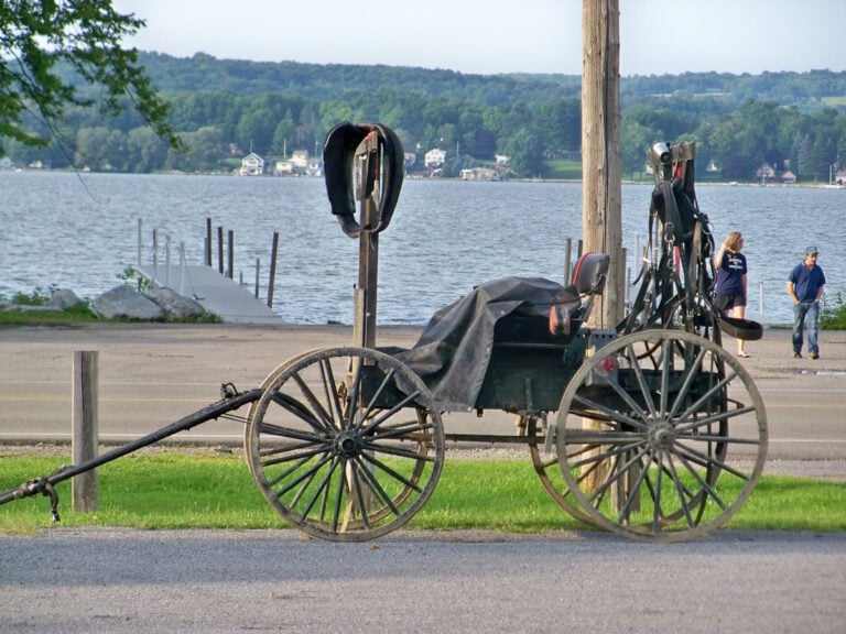 Measles Reported Among Amish In 3 New York Counties, Says Public Health Director