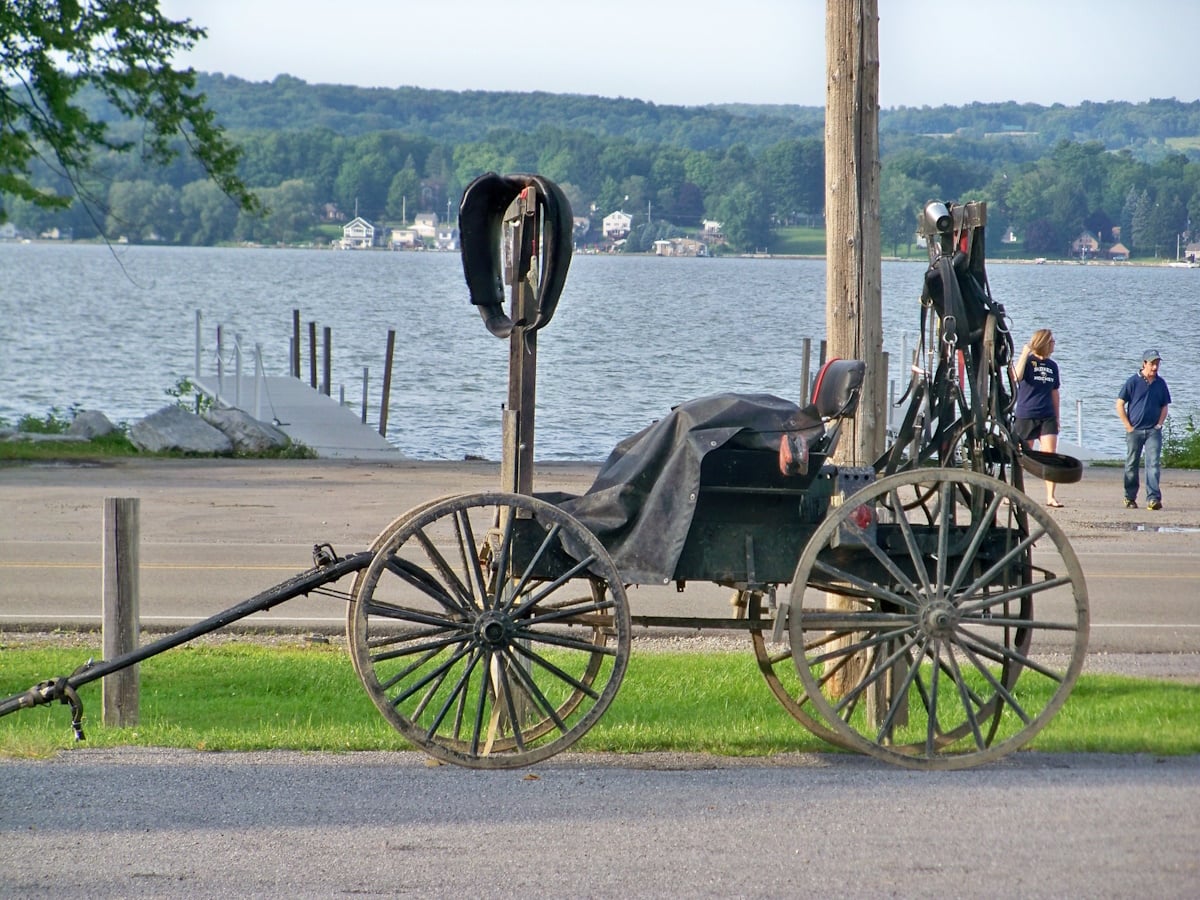 Parked Amish buggy with harness hung on a post beside a lake in Chautauqua County, New York