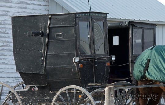Parked buggies in the Kalona, Iowa Amish community