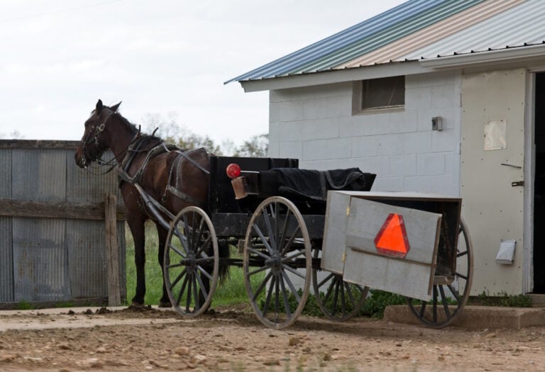 Amish Take “Very Rare” Public Action — But This $6.4 Million Matter Is An Exception