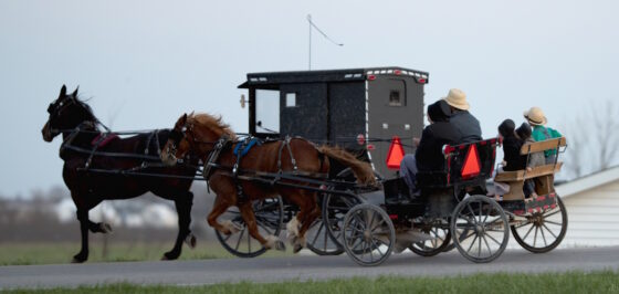 Amish Racing Hang On To Your Hats! An Amish “Buggy Race” (12 Photos) - Amish America