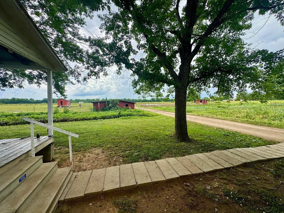 View from Amish farmhouse front steps toward a dirt lane and red outbuildings in Randolph, Mississippi