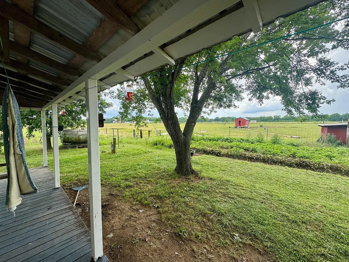 View from Amish farmhouse porch over pasture with small red sheds, Randolph Mississippi