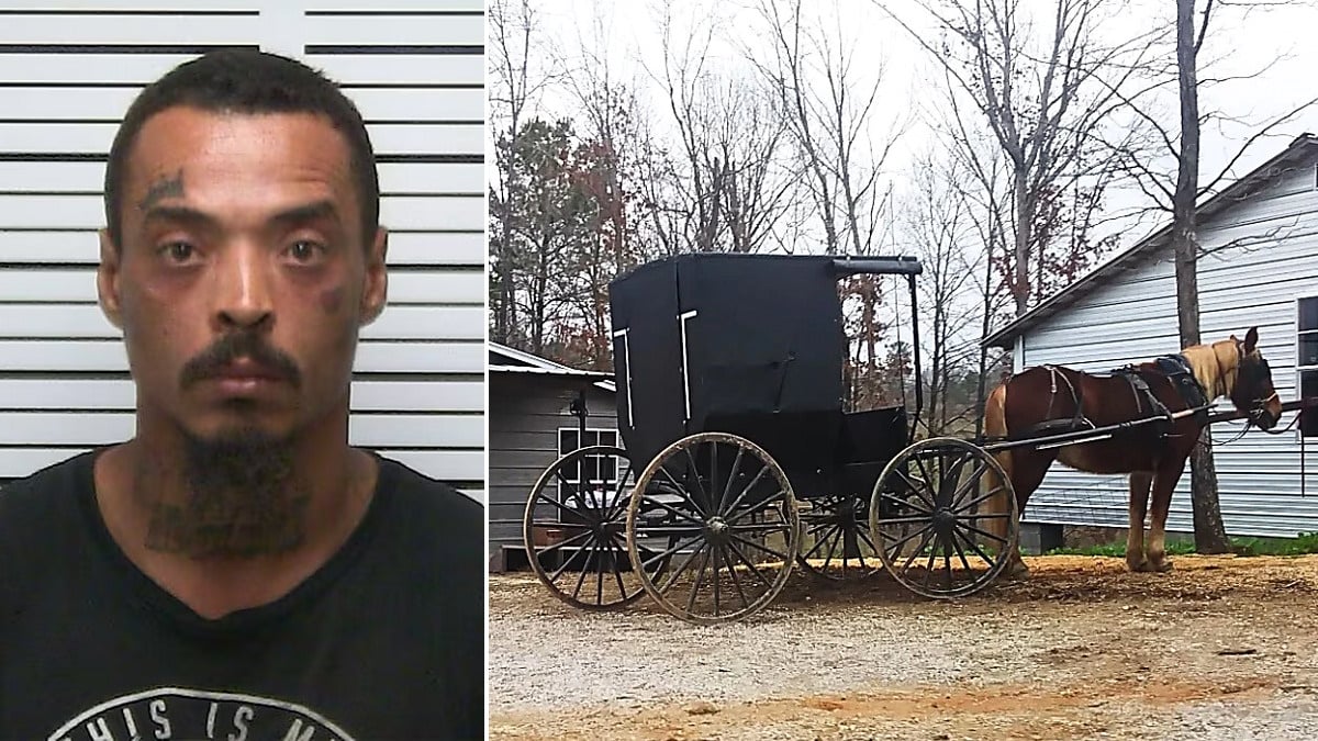 Composite image showing a mugshot of Ronnell Marquese Jones Sr. on the left and an Amish buggy with horse in the Randolph, Mississippi Amish community on the right.