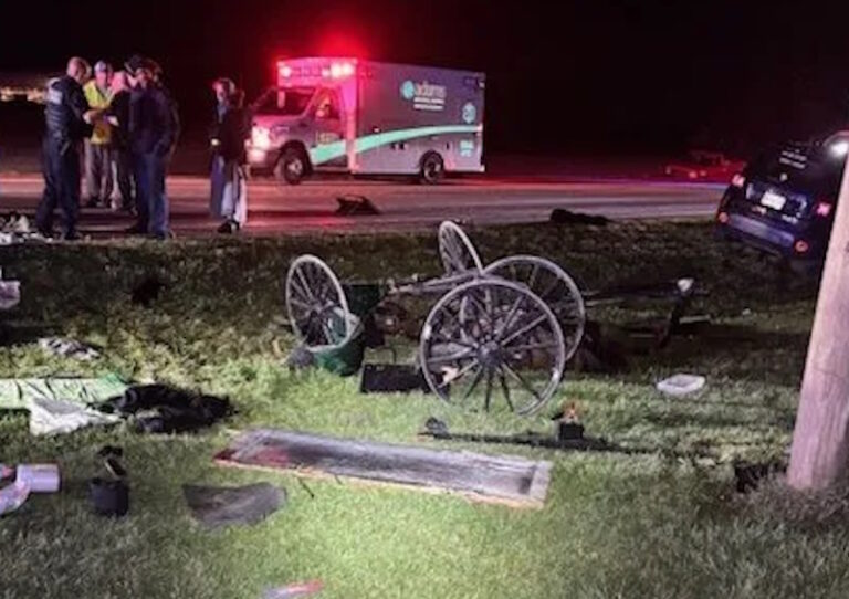 Jeep Smashes Buggy, Ejects Family Of 9 Amish (Indiana)