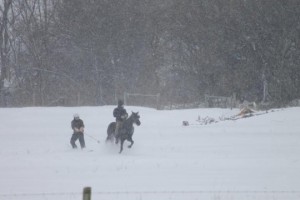 Horse-and-Buggy Snowboarding in Amish Indiana - Amish America