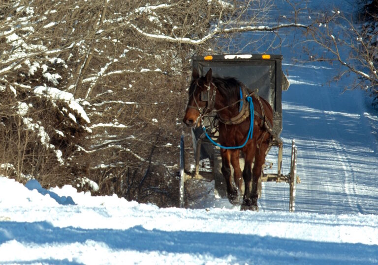 Inside a Snowy Amish Community in Rural Missouri (21 Photos)