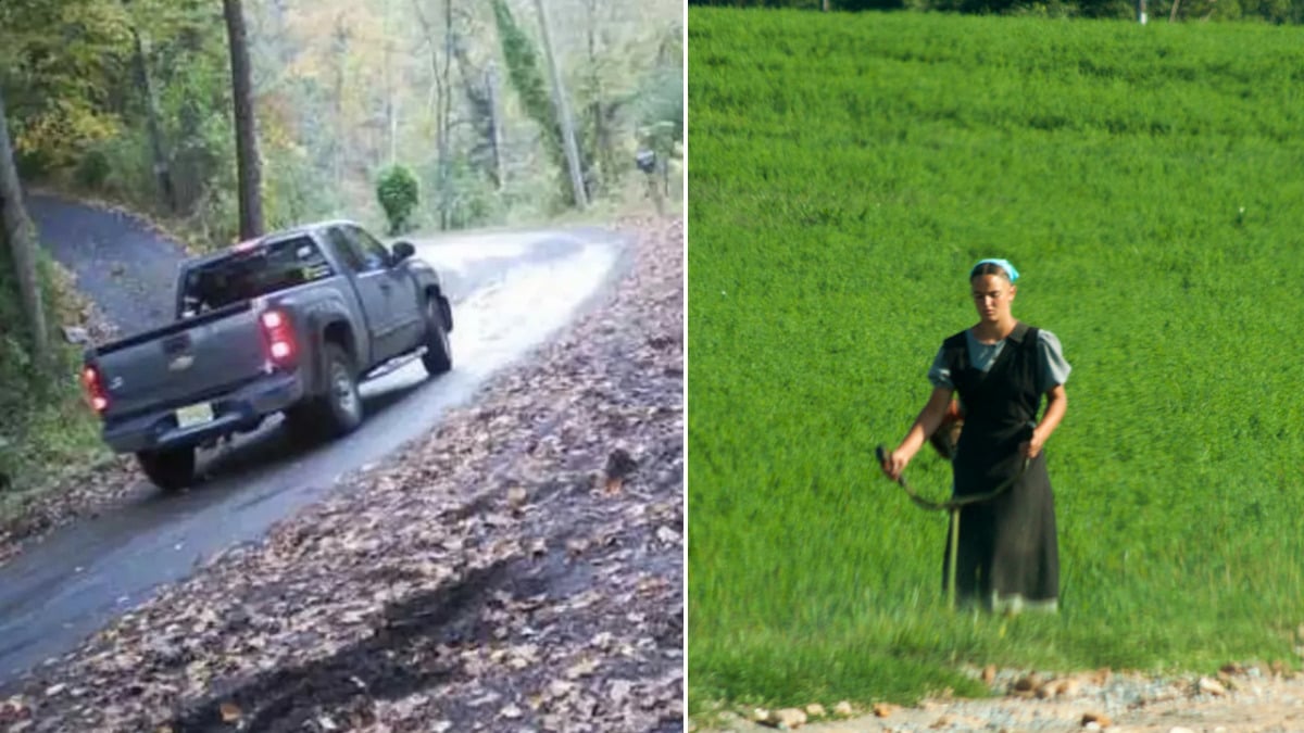 Split image showing a dark gray pickup truck on a leaf-covered rural road at left, and an Amish woman using a weed whacker beside a green field at right