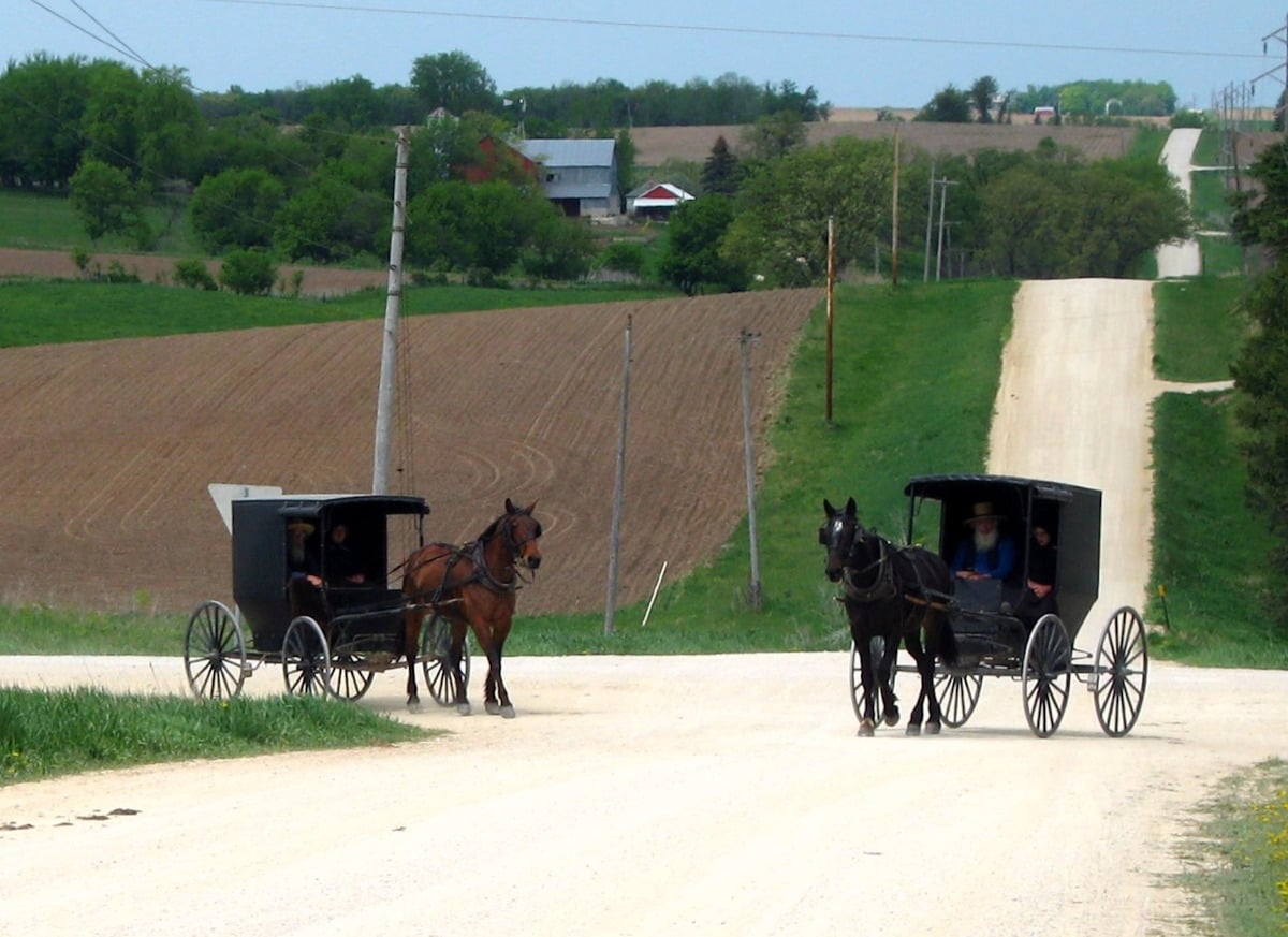 Two Amish buggies passing on a gravel road with plowed farmland and a farmstead behind them