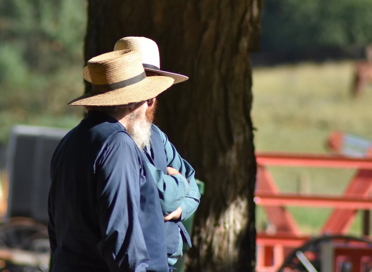 Two Amish men in conversation Two older Amish men in straw hats and long-sleeved shirts stand with arms crossed under a tree at an outdoor gathering