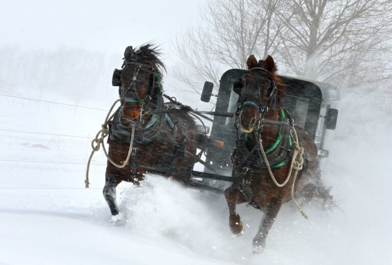17 Striking Winter Photos That Show Amish Country at Its Most Beautiful
