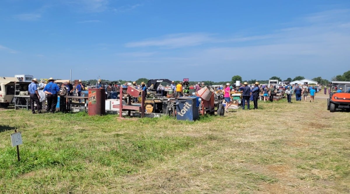 Wide view of the Jamesport Amish School Auction grounds on a July day